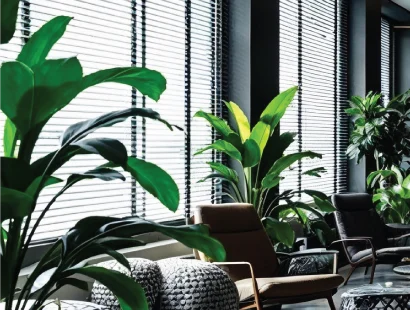 Capawra Direction Office